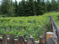 Ukraine Image 14